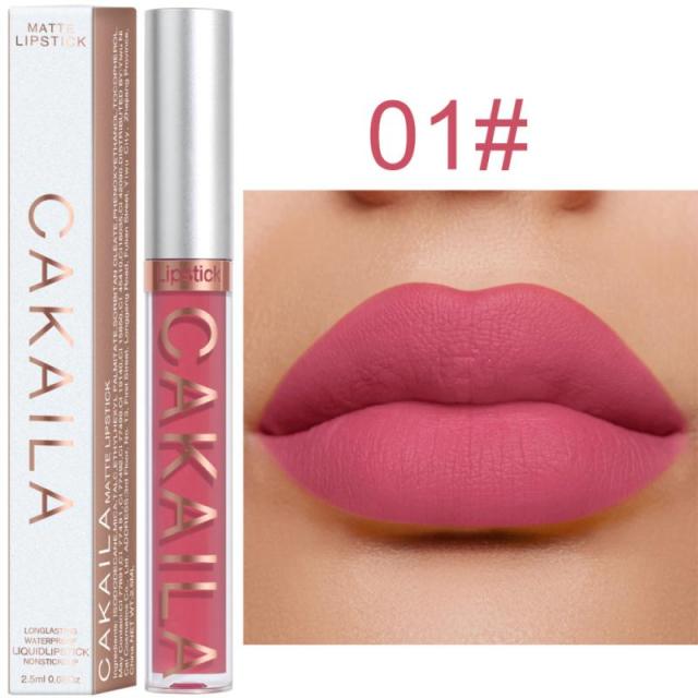 New Arrivals Lipstick Matte Velvet Lip Gloss 36 Colors Long-Lasting Waterproof Lip Tint Women Sexy Maquillage Cosmetics TSLM1