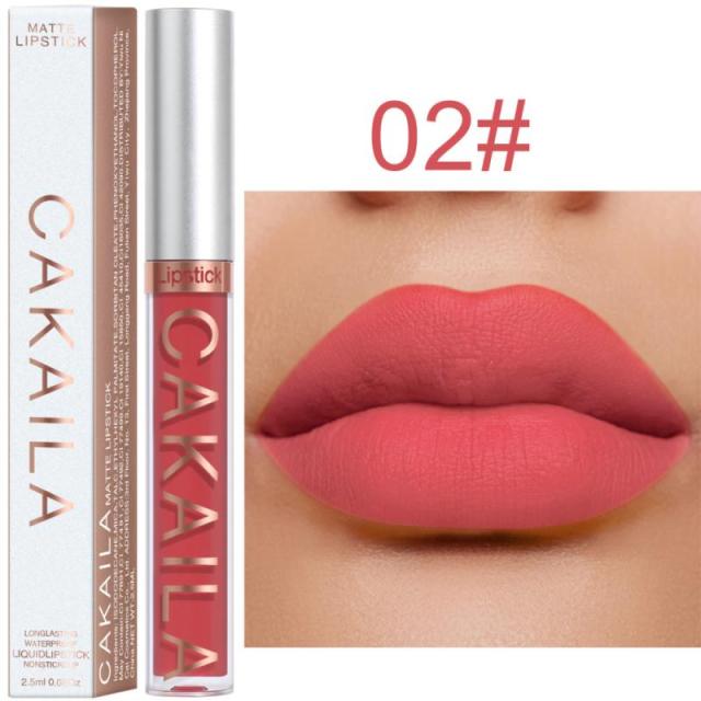 New Arrivals Lipstick Matte Velvet Lip Gloss 36 Colors Long-Lasting Waterproof Lip Tint Women Sexy Maquillage Cosmetics TSLM1