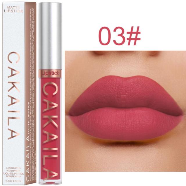 New Arrivals Lipstick Matte Velvet Lip Gloss 36 Colors Long-Lasting Waterproof Lip Tint Women Sexy Maquillage Cosmetics TSLM1