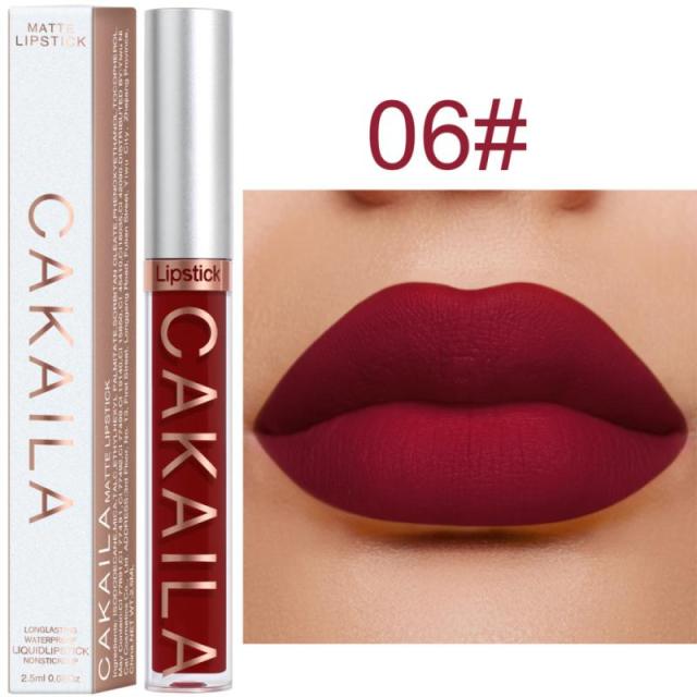 New Arrivals Lipstick Matte Velvet Lip Gloss 36 Colors Long-Lasting Waterproof Lip Tint Women Sexy Maquillage Cosmetics TSLM1