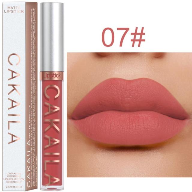 New Arrivals Lipstick Matte Velvet Lip Gloss 36 Colors Long-Lasting Waterproof Lip Tint Women Sexy Maquillage Cosmetics TSLM1