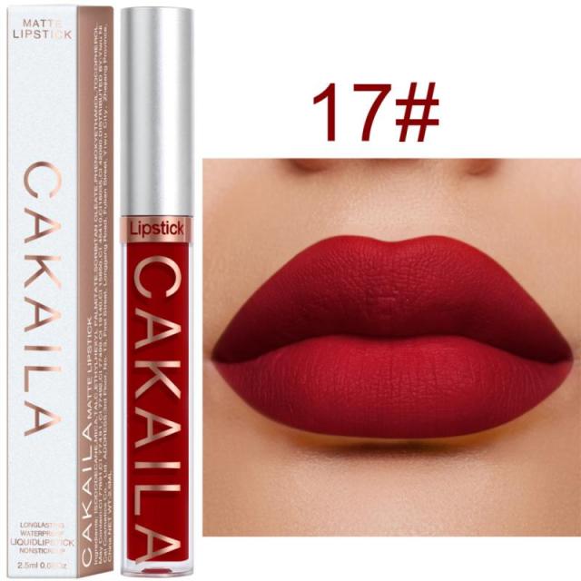 New Arrivals Lipstick Matte Velvet Lip Gloss 36 Colors Long-Lasting Waterproof Lip Tint Women Sexy Maquillage Cosmetics TSLM1