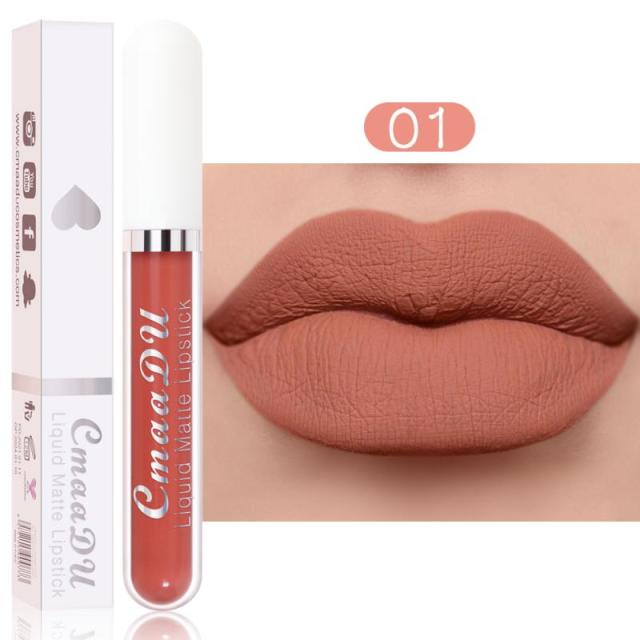 New Arrivals Lipstick Matte Velvet Lip Gloss 36 Colors Long-Lasting Waterproof Lip Tint Women Sexy Maquillage Cosmetics TSLM1