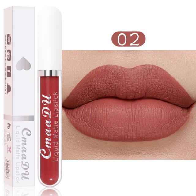 New Arrivals Lipstick Matte Velvet Lip Gloss 36 Colors Long-Lasting Waterproof Lip Tint Women Sexy Maquillage Cosmetics TSLM1