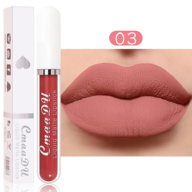 New Arrivals Lipstick Matte Velvet Lip Gloss 36 Colors Long-Lasting Waterproof Lip Tint Women Sexy Maquillage Cosmetics TSLM1