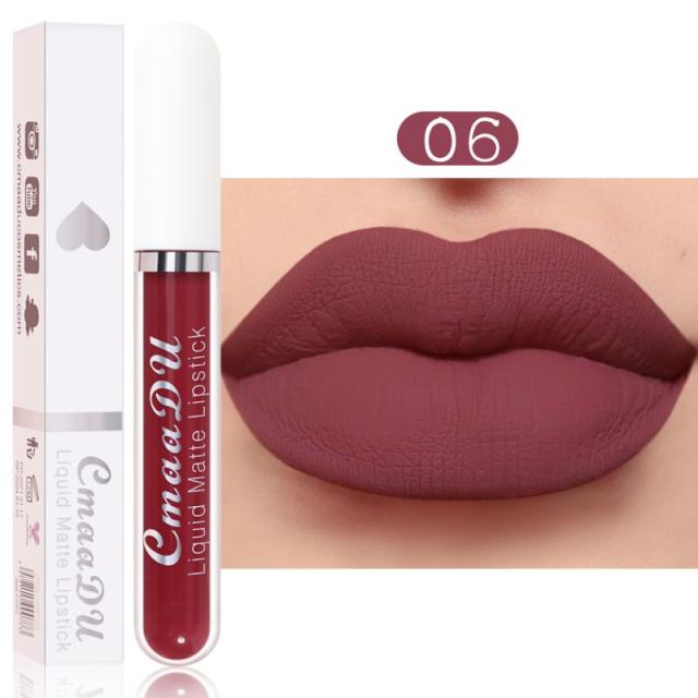 New Arrivals Lipstick Matte Velvet Lip Gloss 36 Colors Long-Lasting Waterproof Lip Tint Women Sexy Maquillage Cosmetics TSLM1