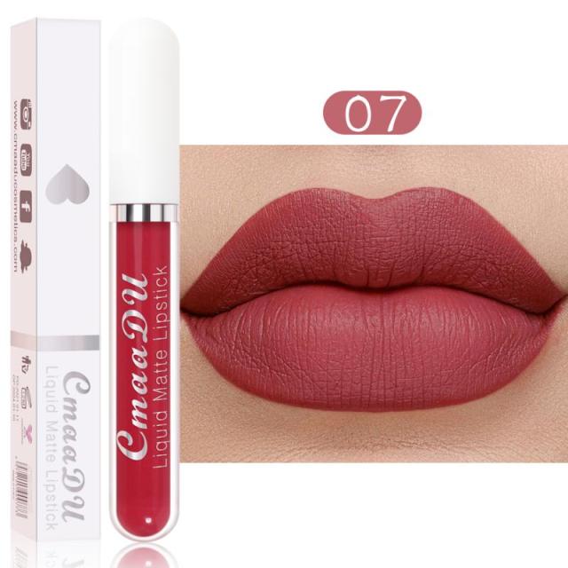 New Arrivals Lipstick Matte Velvet Lip Gloss 36 Colors Long-Lasting Waterproof Lip Tint Women Sexy Maquillage Cosmetics TSLM1